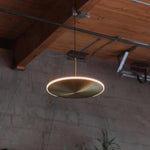 Chrona Dish Pendant Light - Lamp Outdoor