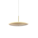 Chrona Dish Pendant Light - Lamp Outdoor