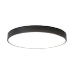 Circular Slimline Ceiling Light - Lamp Outdoor
