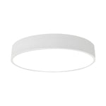 Circular Slimline Ceiling Light - Lamp Outdoor