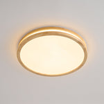 Cirro Ceiling Light - Lamp Outdoor