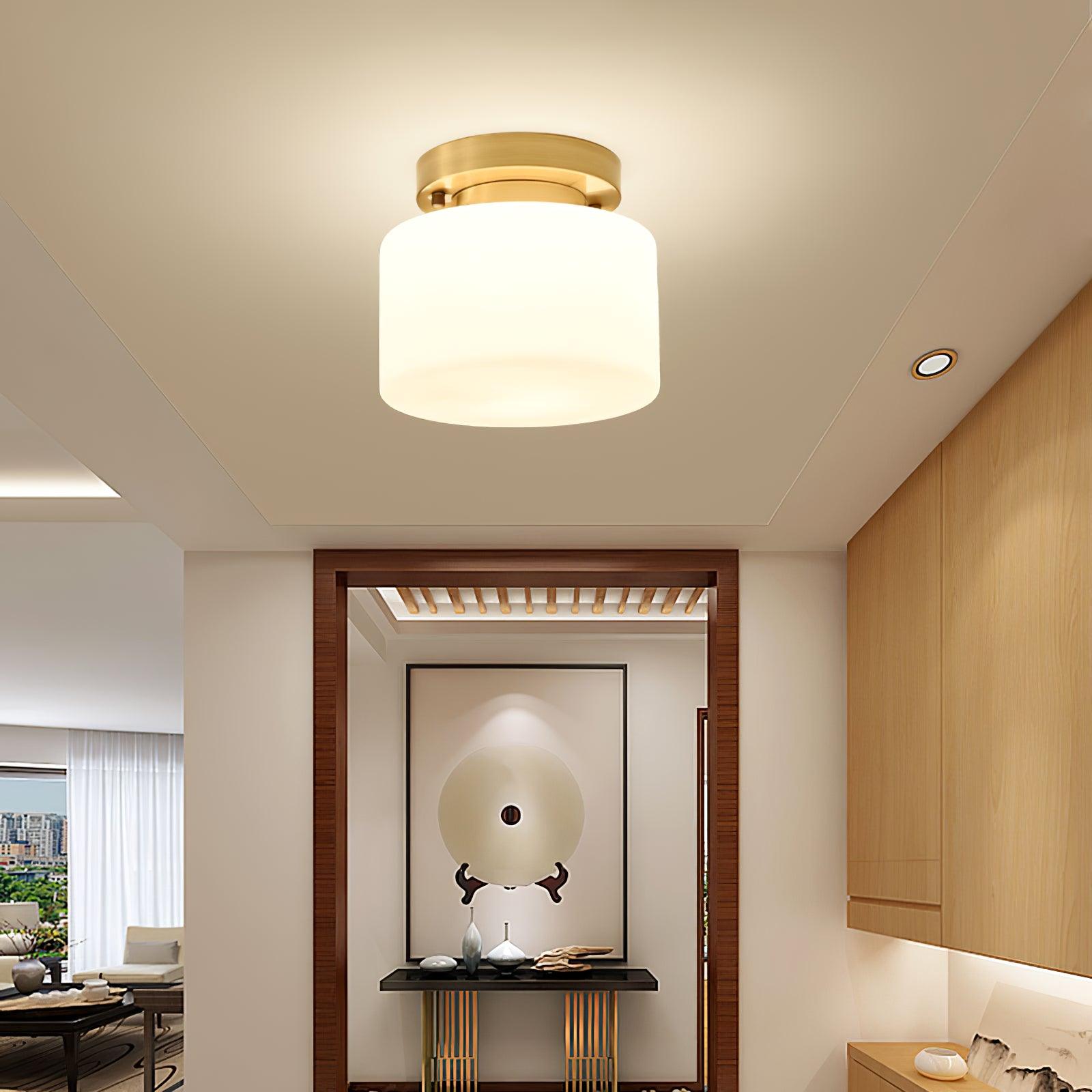 Clinio Flush Mount Ceiling Light - Lamp Outdoor