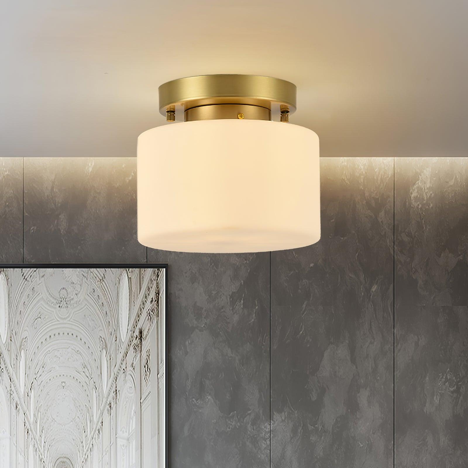 Clinio Flush Mount Ceiling Light - Lamp Outdoor