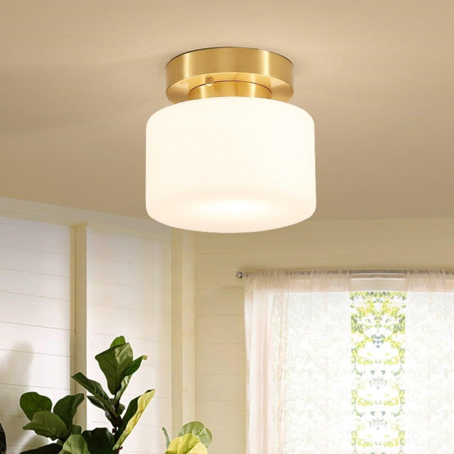 Clinio Flush Mount Ceiling Light - Lamp Outdoor