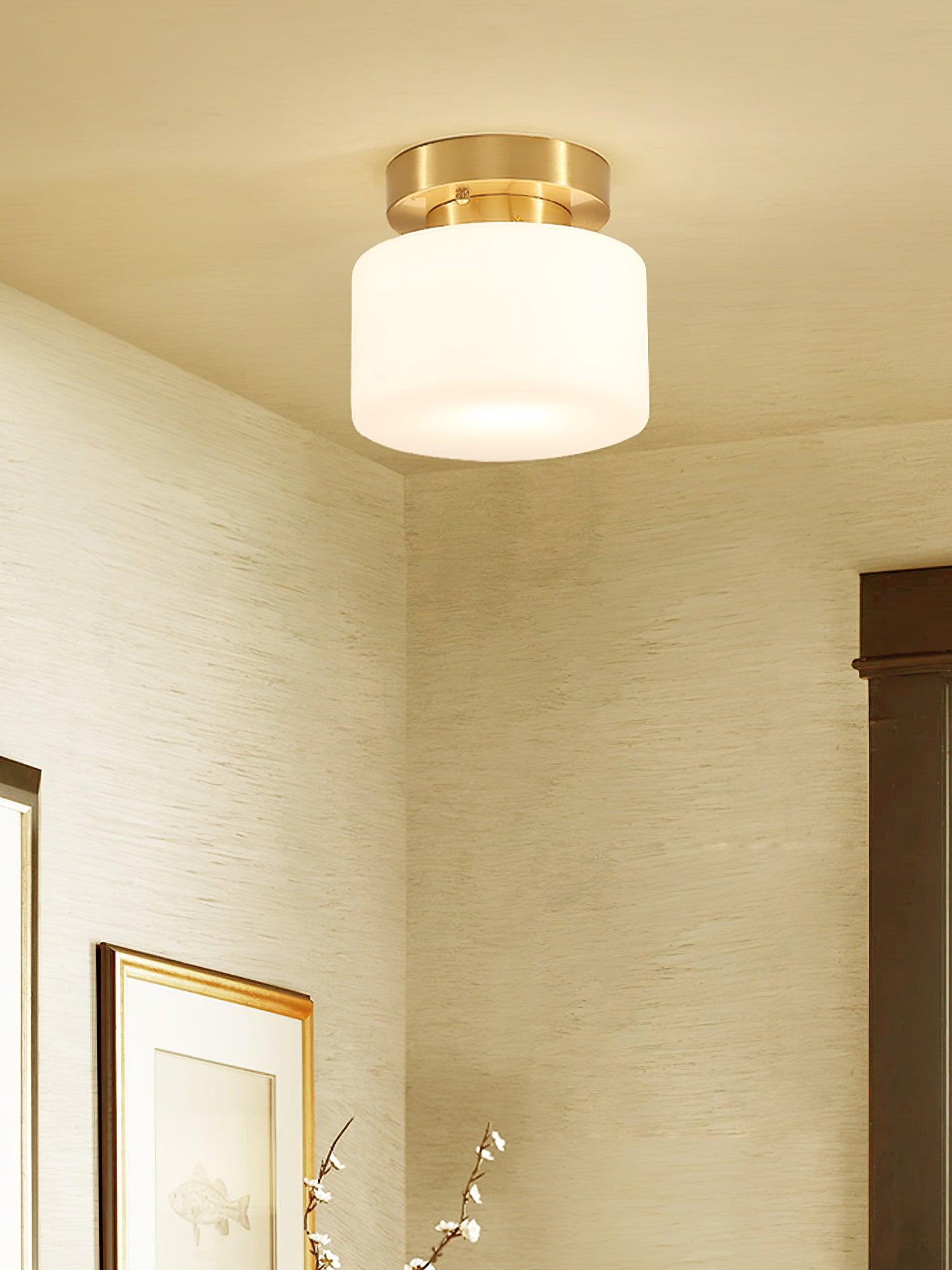 Clinio Flush Mount Ceiling Light - Lamp Outdoor