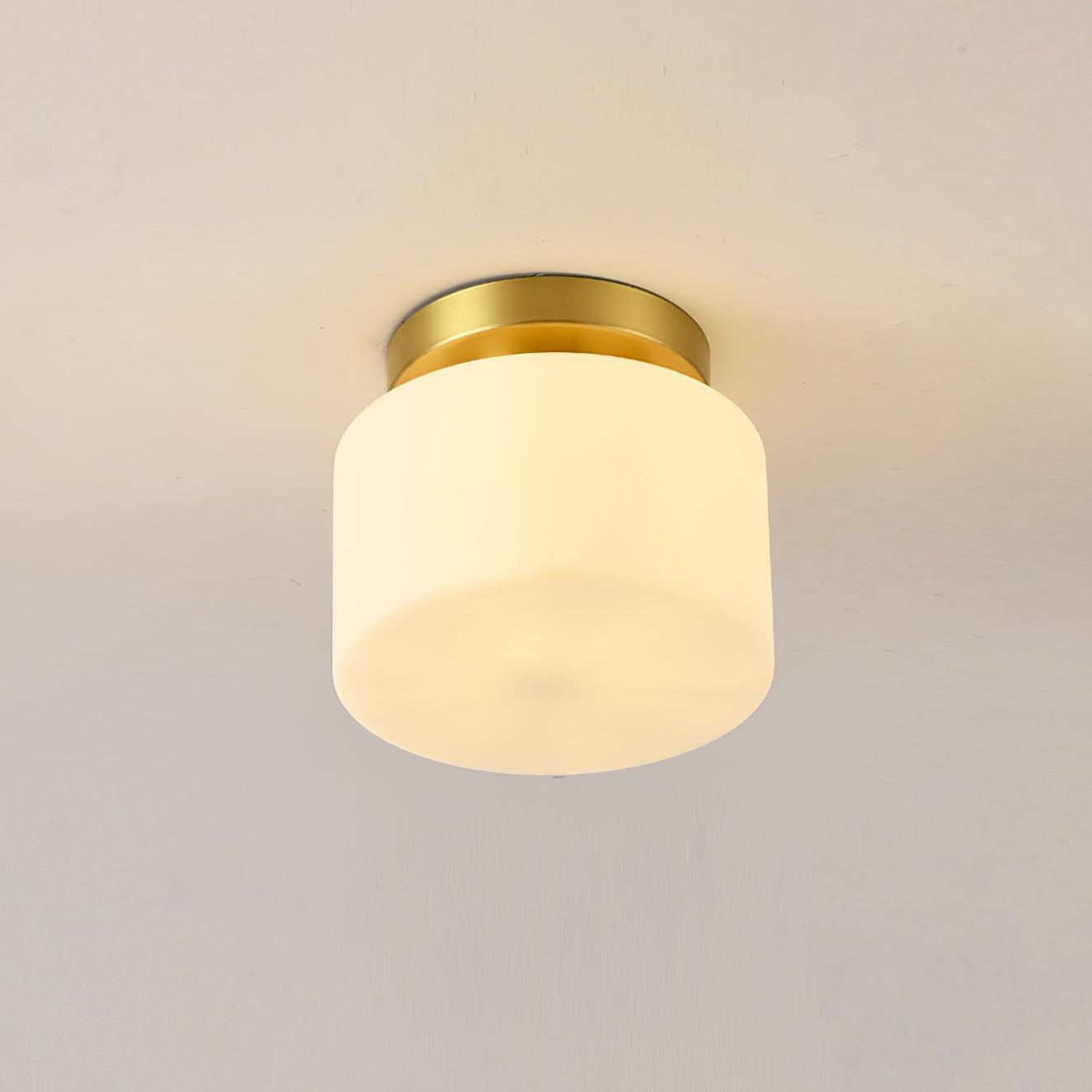 Clinio Flush Mount Ceiling Light - Lamp Outdoor