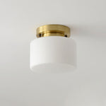 Clinio Flush Mount Ceiling Light - Lamp Outdoor