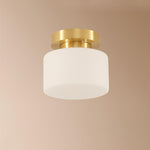 Clinio Flush Mount Ceiling Light - Lamp Outdoor