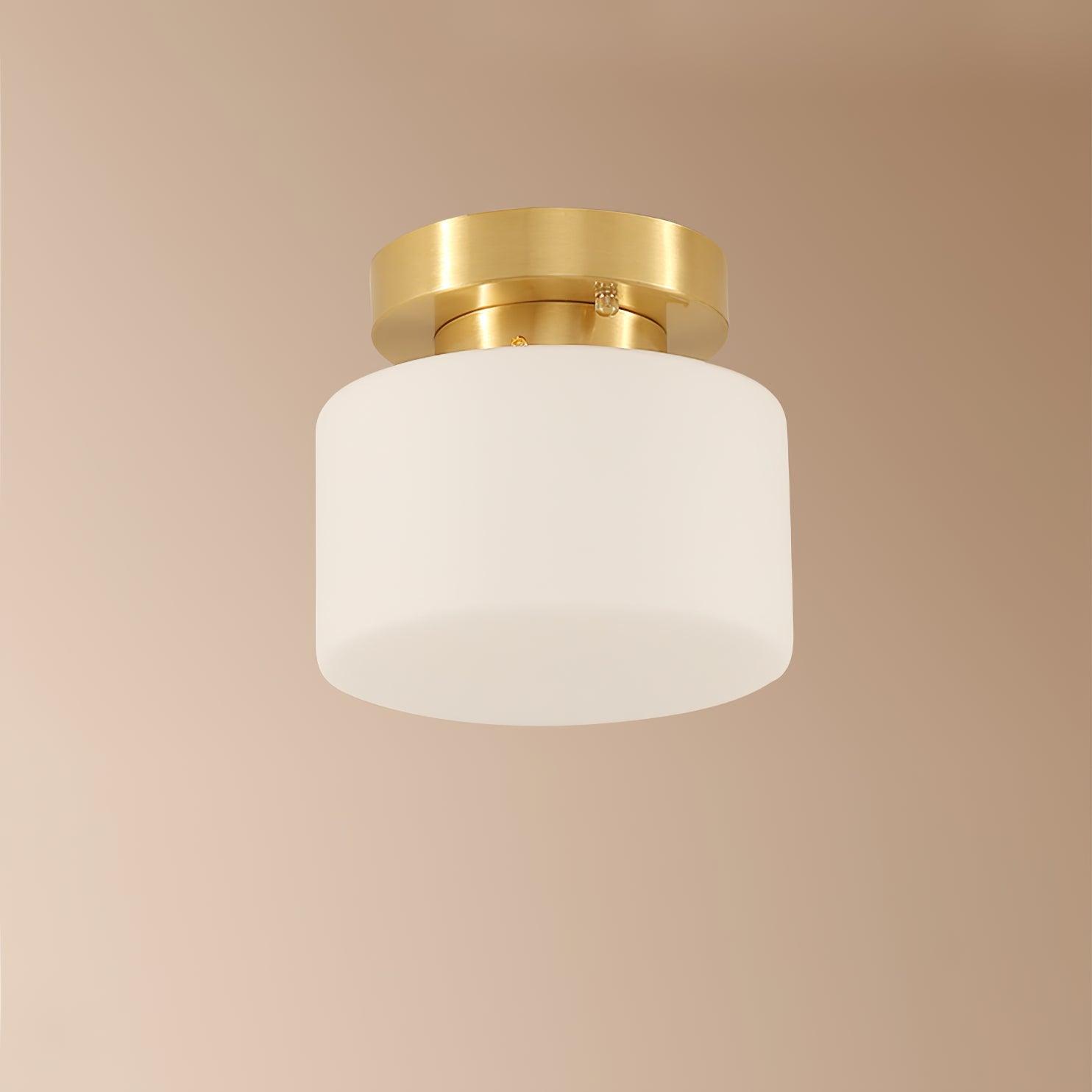 Clinio Flush Mount Ceiling Light - Lamp Outdoor