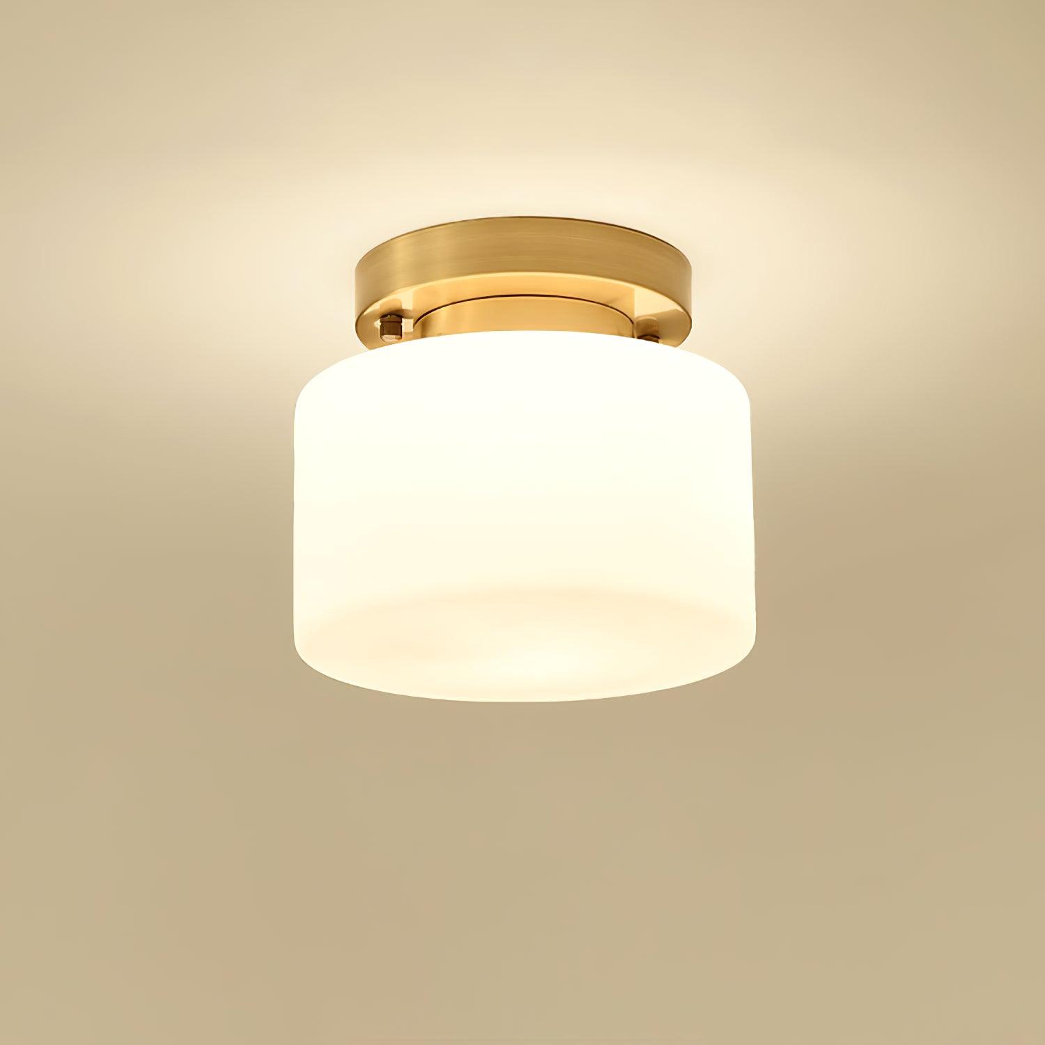 Clinio Flush Mount Ceiling Light - Lamp Outdoor