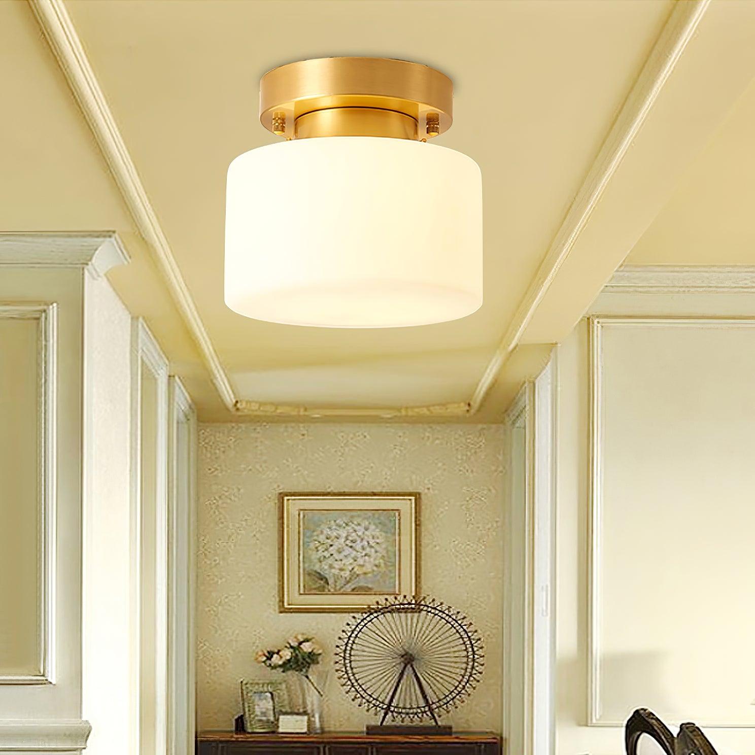 Clinio Flush Mount Ceiling Light - Lamp Outdoor