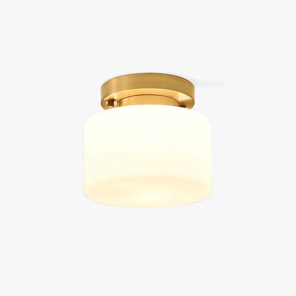 Clinio Flush Mount Ceiling Light - Lamp Outdoor