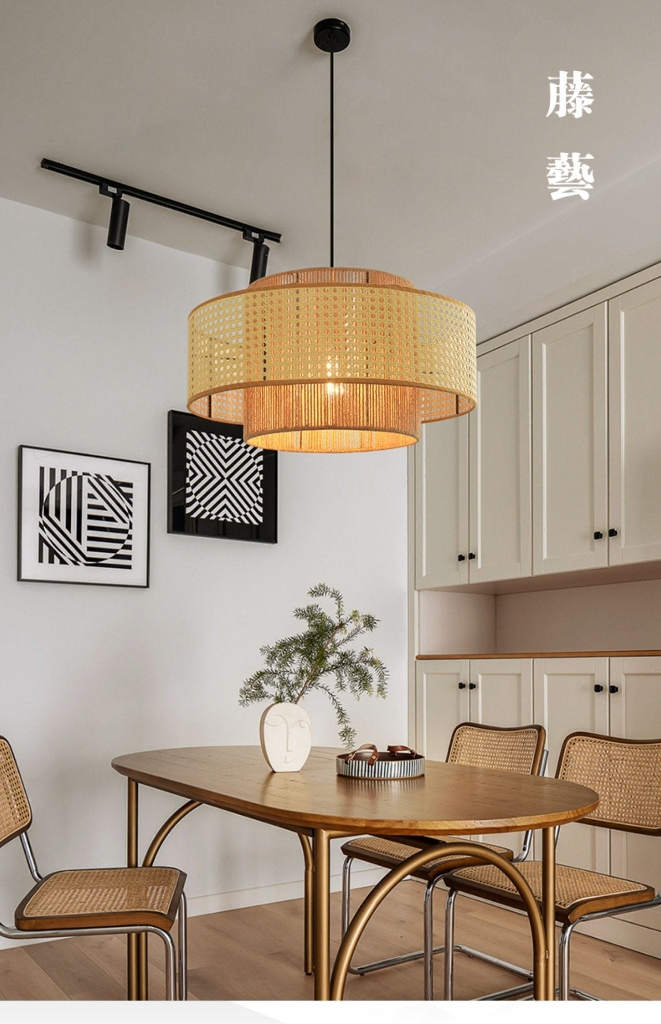 Concentric Pendant Light - Lamp Outdoor