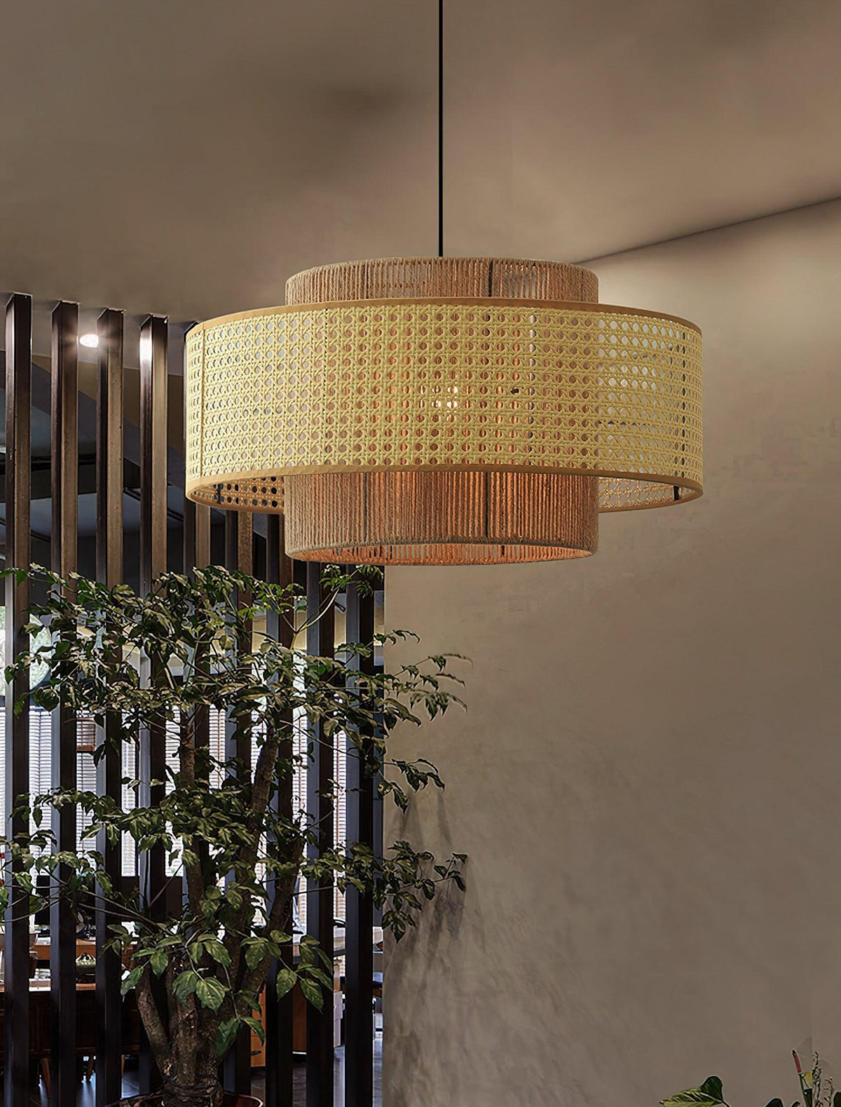 Concentric Pendant Light - Lamp Outdoor
