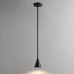 Conica Brass Pendant Light - Lamp Outdoor
