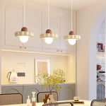 Kai Modern Metal Pendant Light - Lamp Outdoor