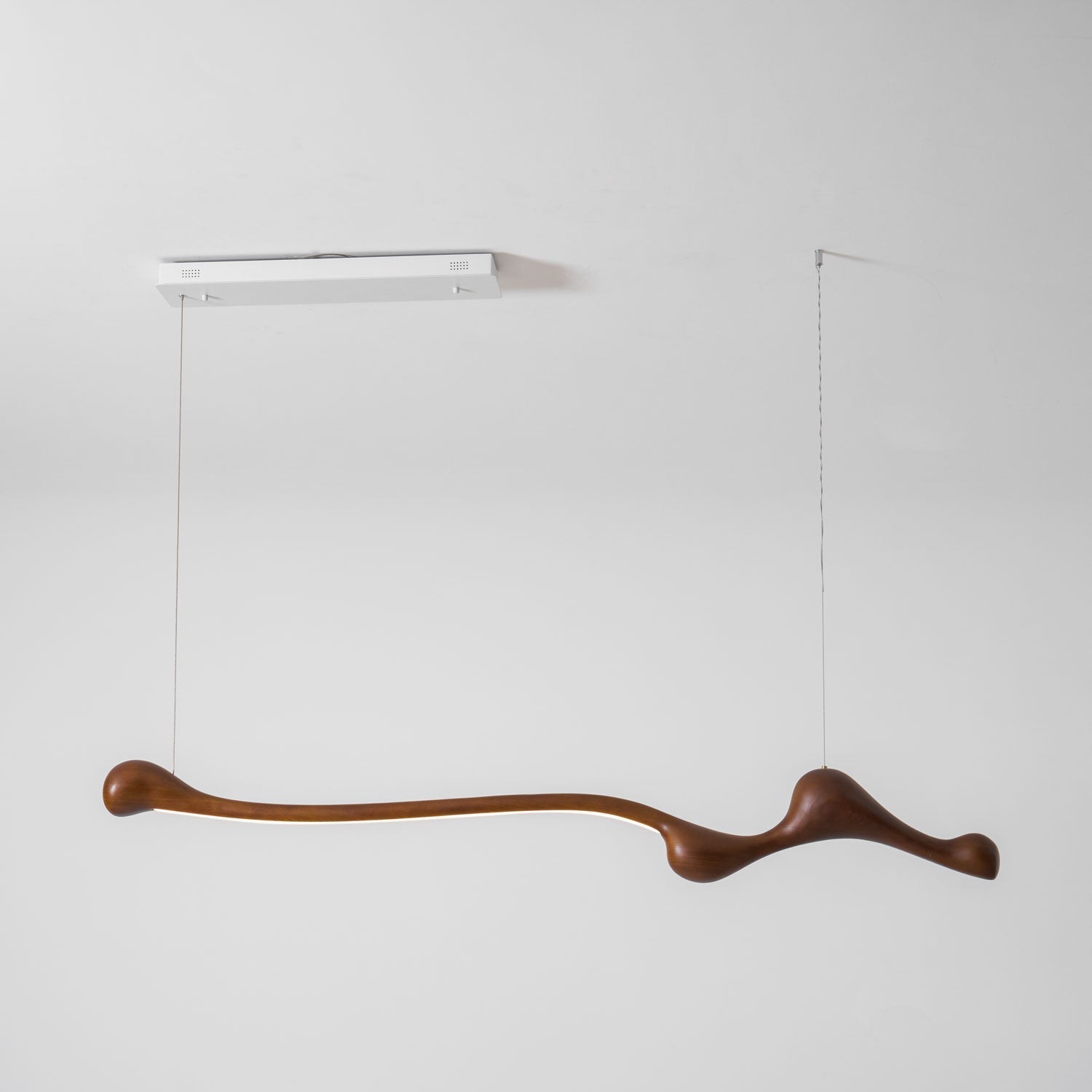 Curva Pendant Lamp - Lamp Outdoor