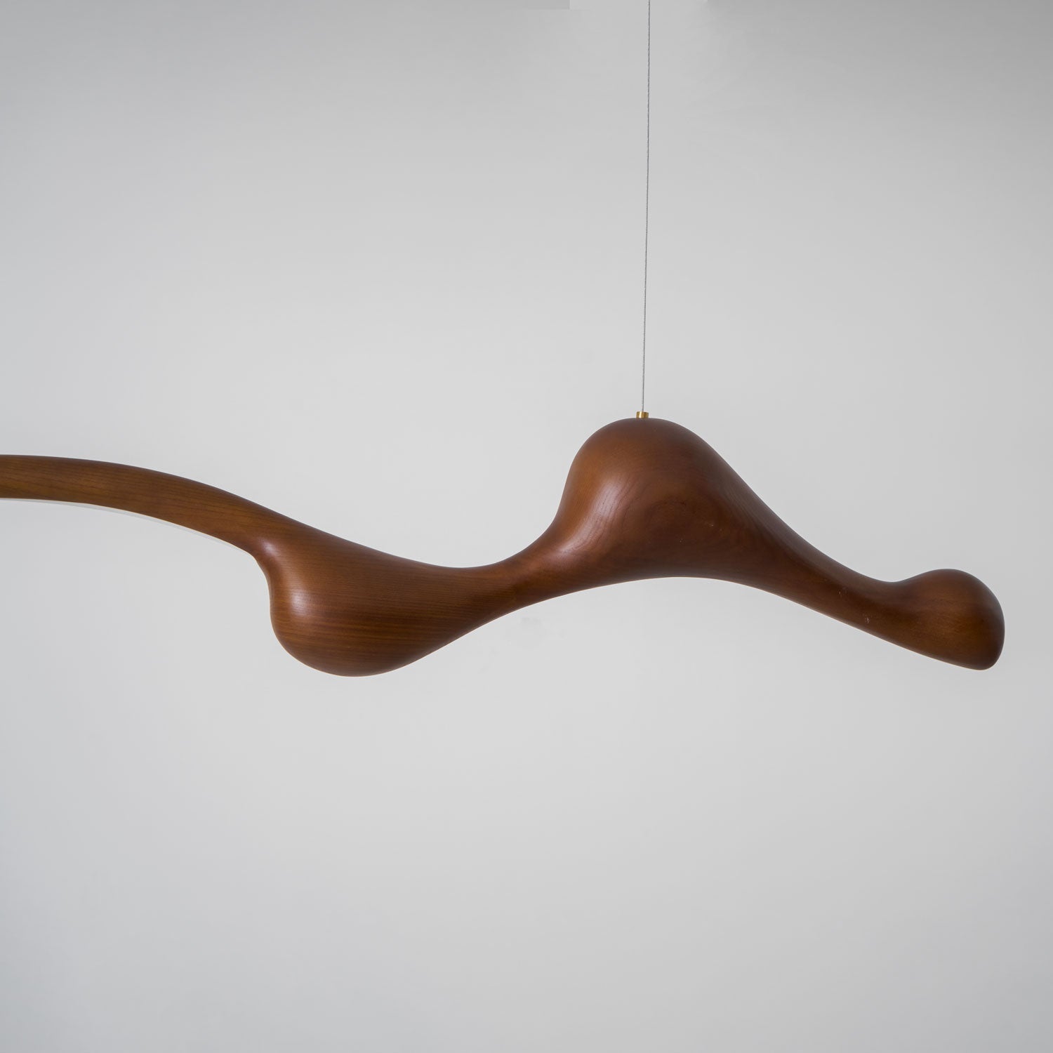 Curva Pendant Lamp - Lamp Outdoor