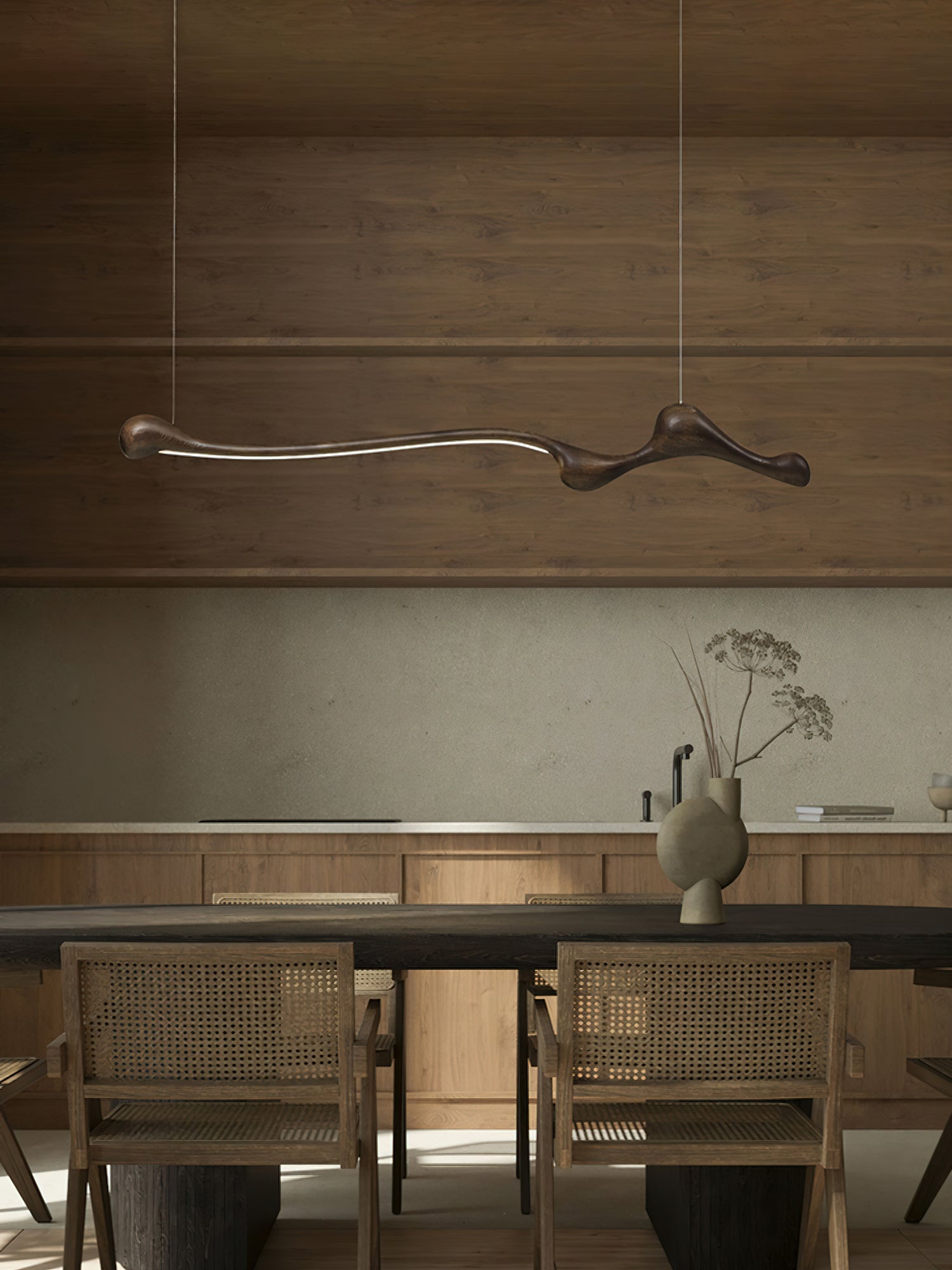 Curva Pendant Lamp - Lamp Outdoor