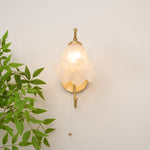 Curved Gooseneck Brass Glass Sconce - Lamp Outdoor