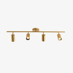 Cylinder Brass Series Ceiling Lamp - Lamp Outdoor