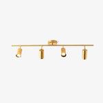 Cylinder Brass Series Ceiling Lamp - Lamp Outdoor