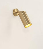Cylinder Brass Series Ceiling Lamp - Lamp Outdoor