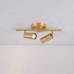 Cylinder Brass Series Ceiling Lamp - Lamp Outdoor
