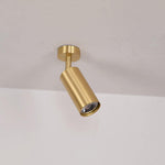 Cylinder Brass Series Ceiling Lamp - Lamp Outdoor