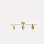 Cylinder Brass Series Ceiling Lamp - Lamp Outdoor