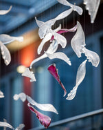 Zathaara Glass Feather Shape Chandelier - Lamp Outdoor