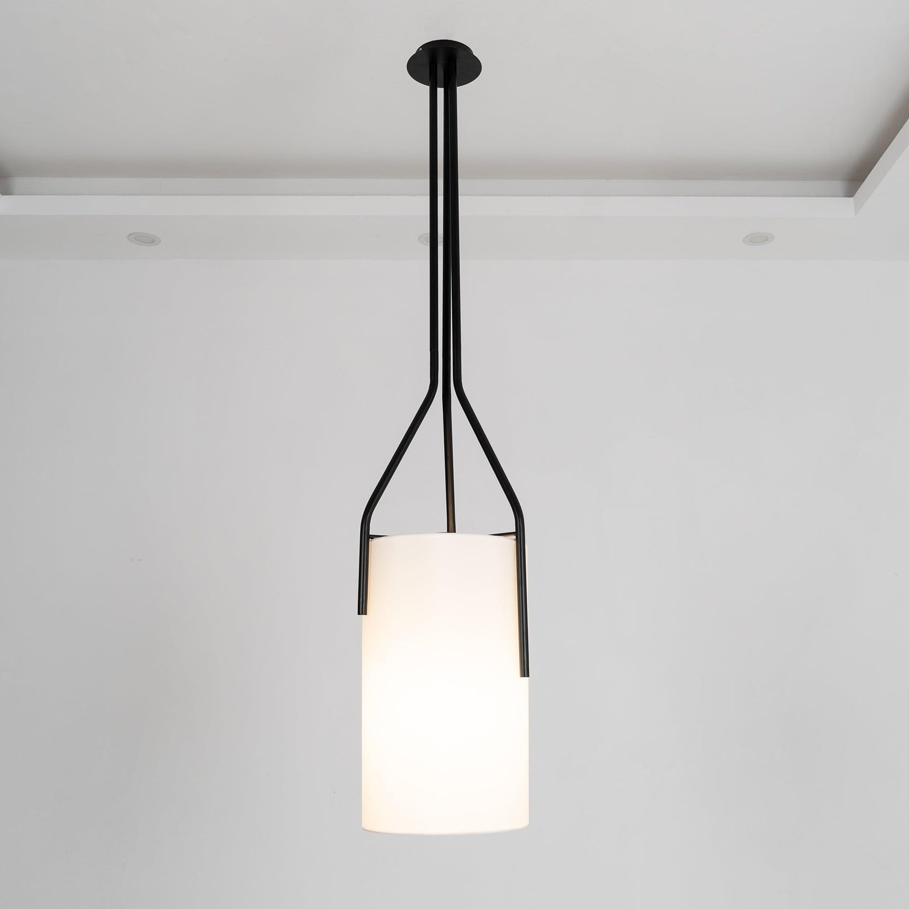 Arborescence Chandelier - Lamp Outdoor