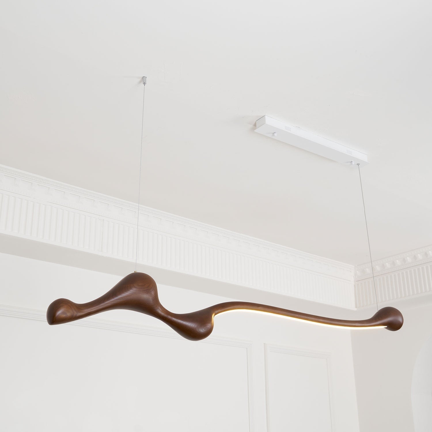 Curva Pendant Lamp - Lamp Outdoor