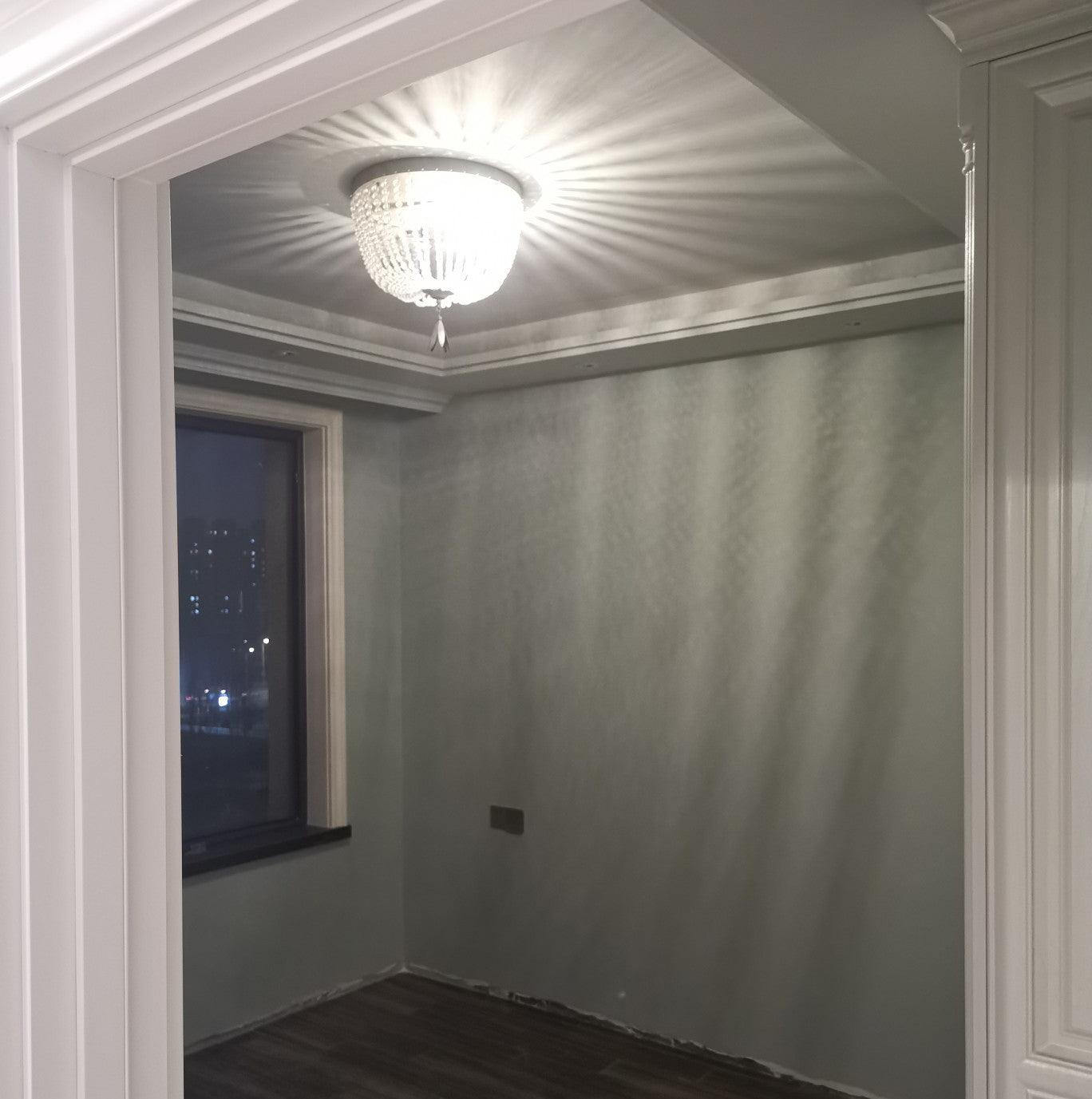 Dauphine Crystal Ceiling Light - Lamp Outdoor