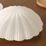 Devan Seashell Ceiling Lamp - Lamp Outdoor
