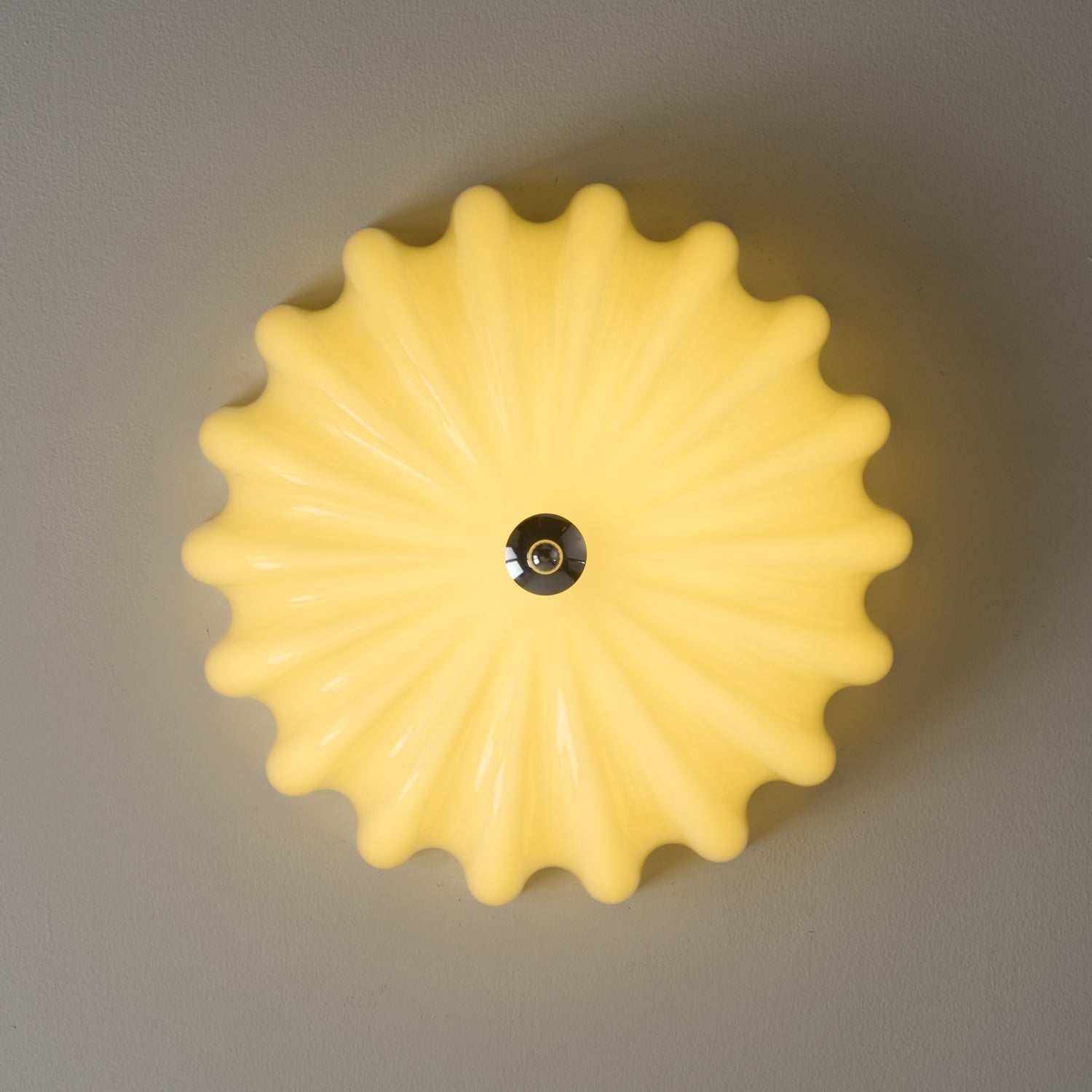 Dewdrop Shell Ceiling Light - Lamp Outdoor