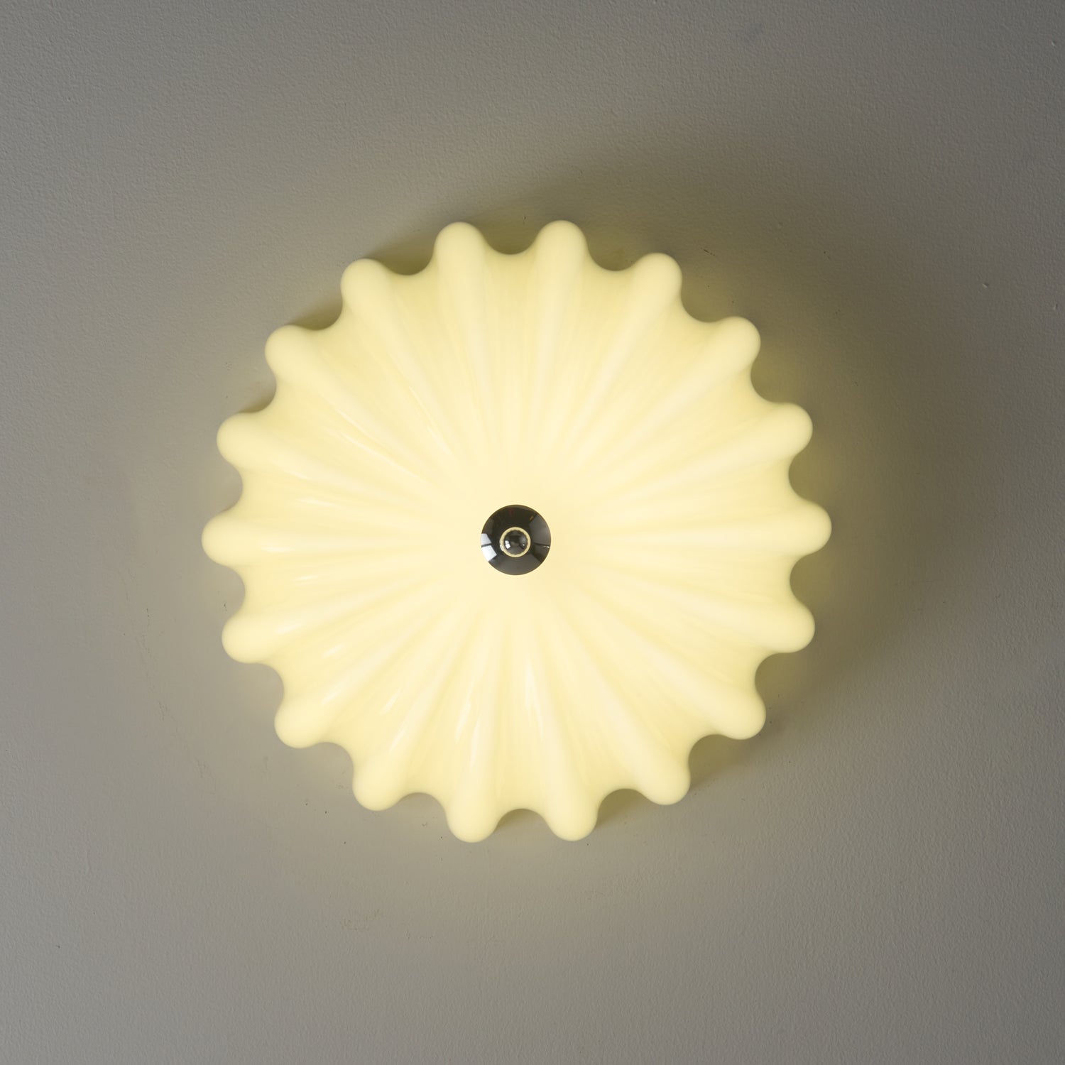 Dewdrop Shell Ceiling Light - Lamp Outdoor