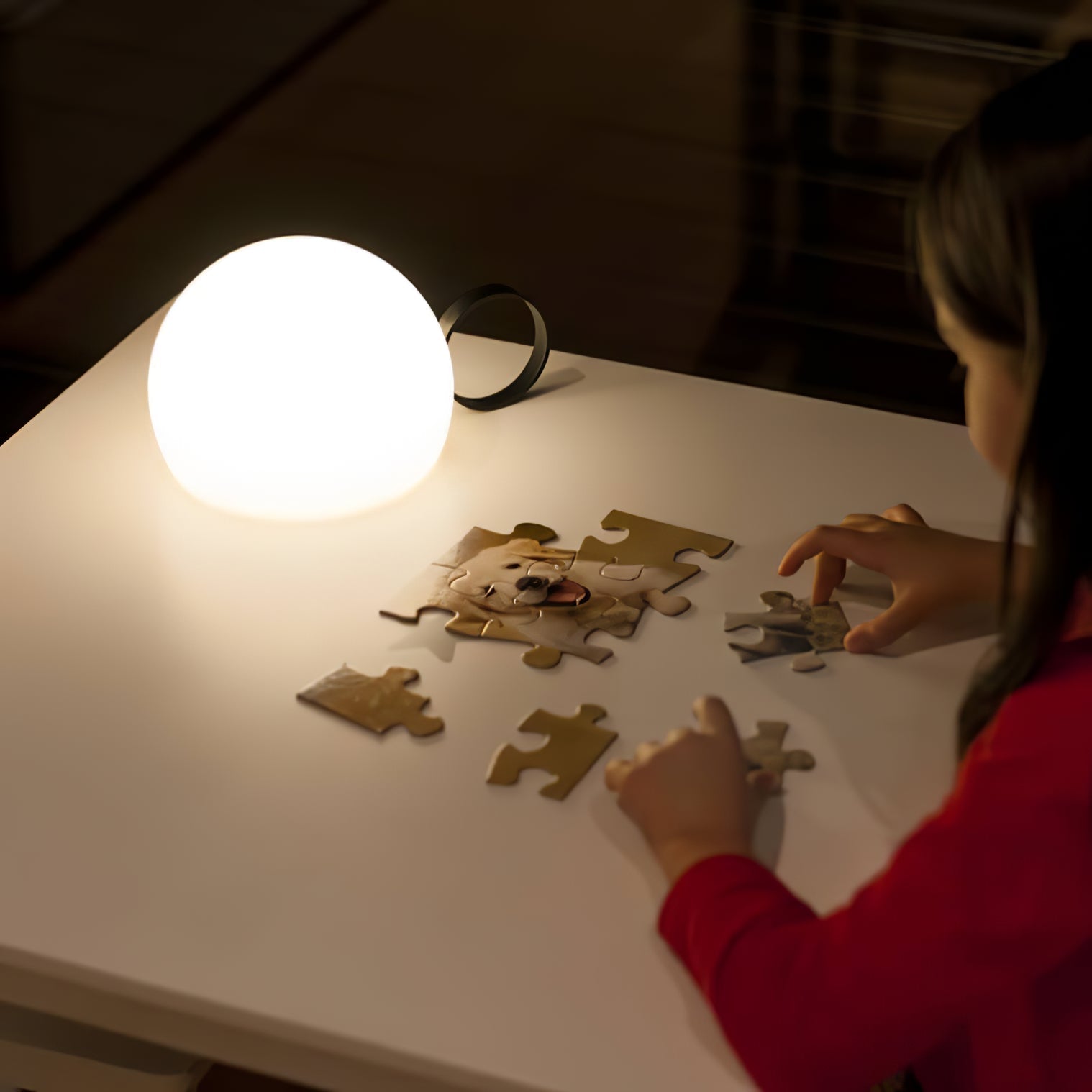 Dome Portable Table Lamp - Lamp Outdoor