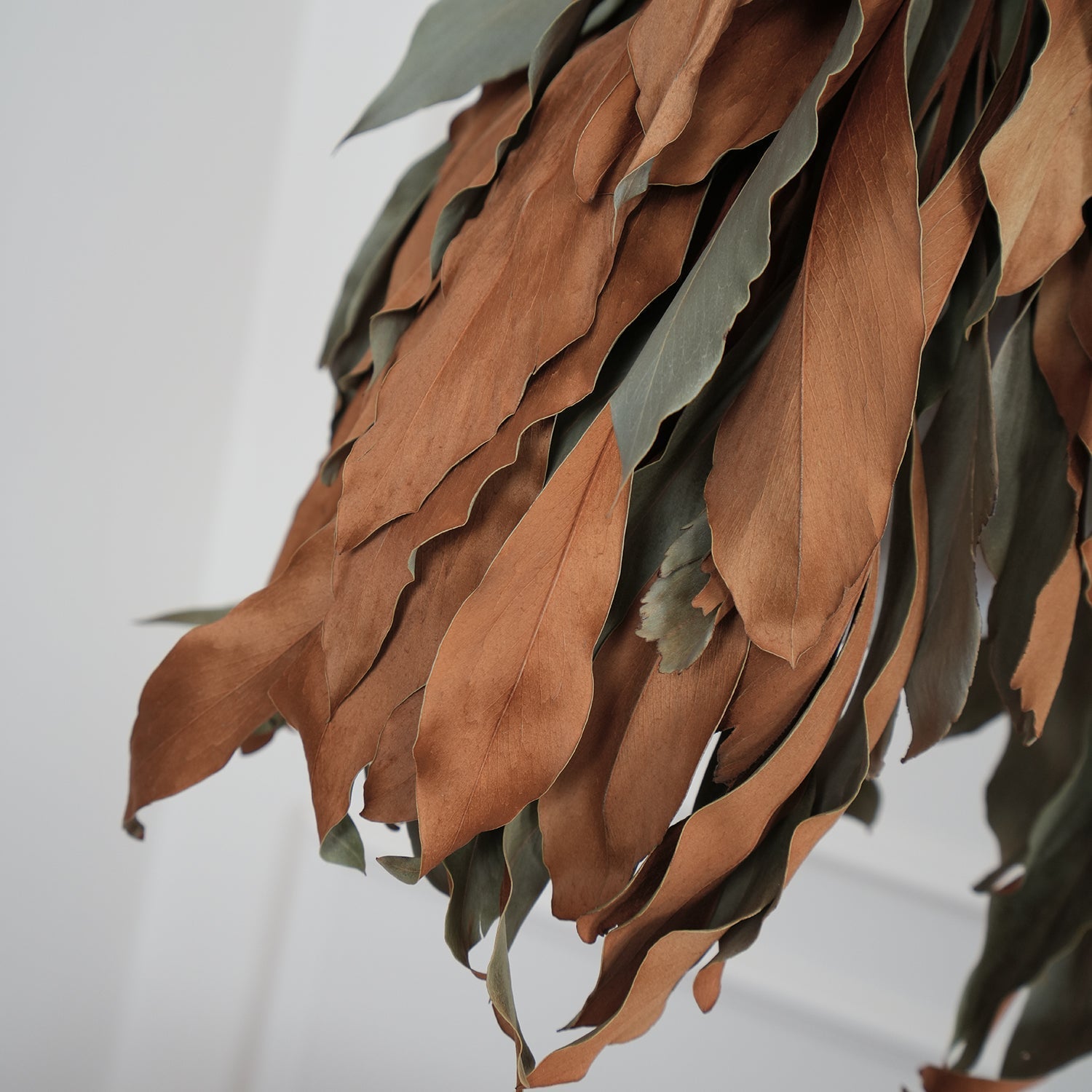 Dried Branch Leaf Pendant Lamp - Lamp Outdoor