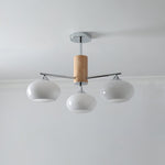Elliptical Persimmon Chandelier - Lamp Outdoor