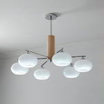 Elliptical Persimmon Chandelier - Lamp Outdoor