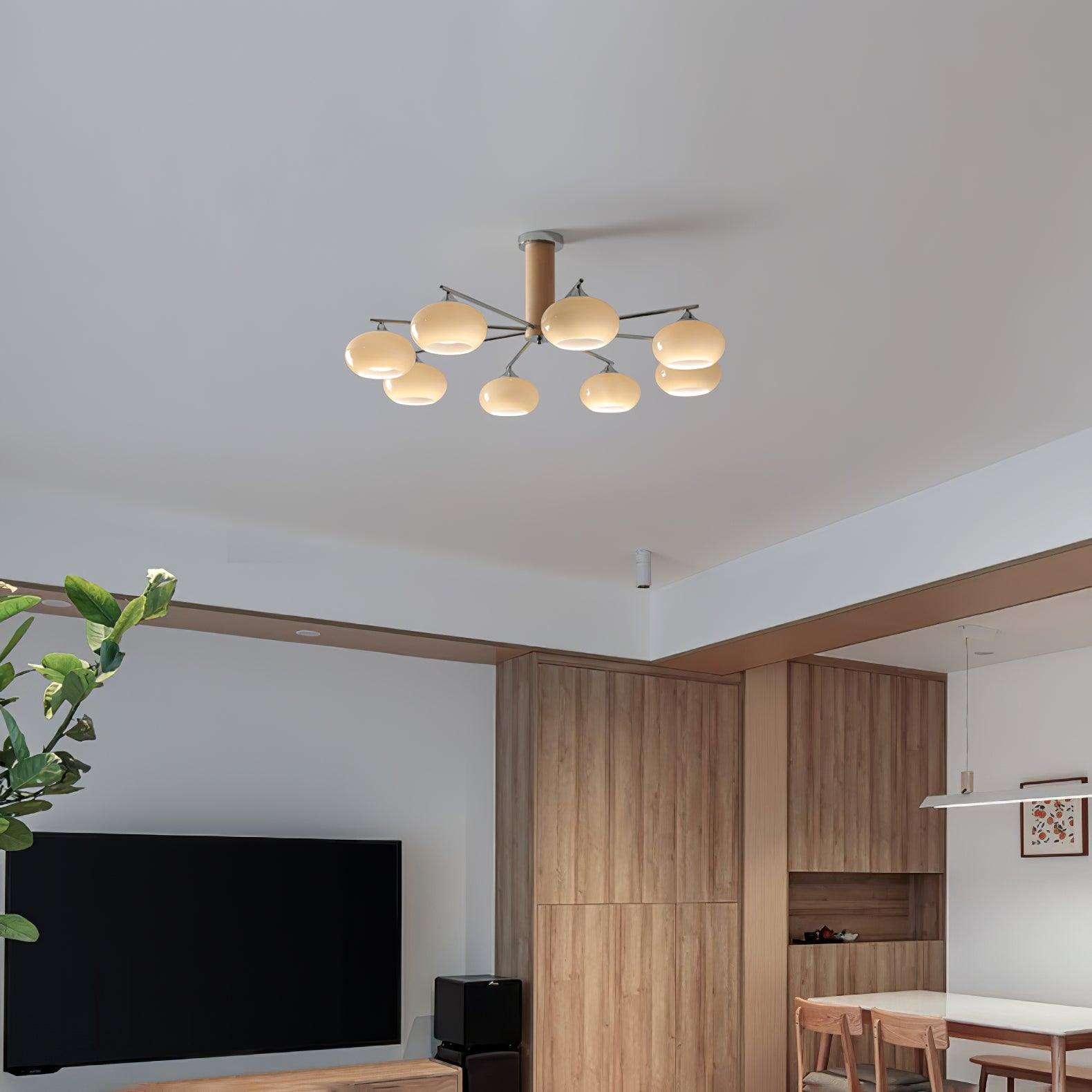 Elliptical Persimmon Chandelier - Lamp Outdoor