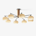 Elliptical Persimmon Chandelier - Lamp Outdoor