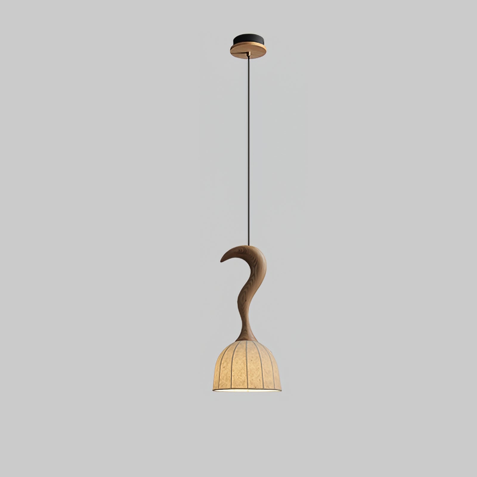 Colire Creativity Twisted Metal Wood Pendant Light - Lamp Outdoor