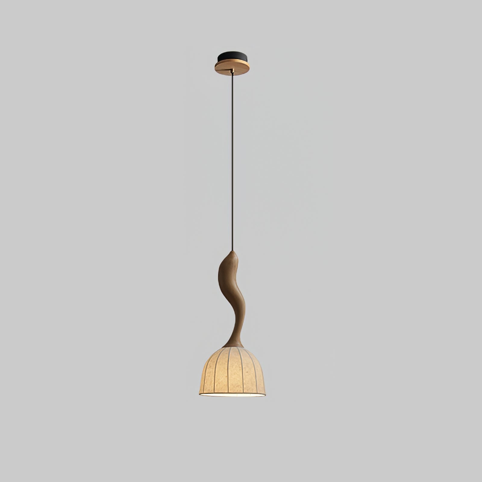 Colire Creativity Twisted Metal Wood Pendant Light - Lamp Outdoor