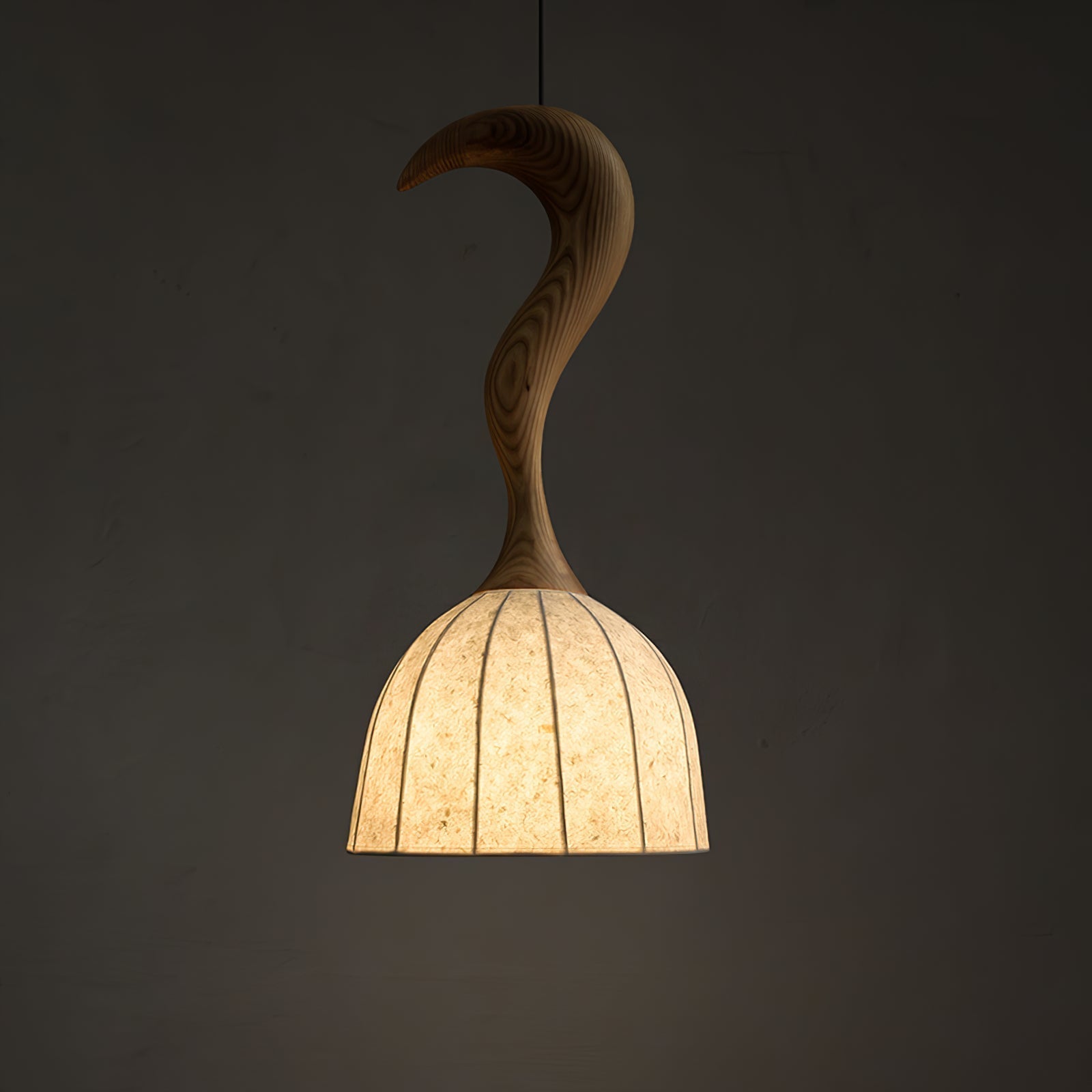 Colire Creativity Twisted Metal Wood Pendant Light - Lamp Outdoor