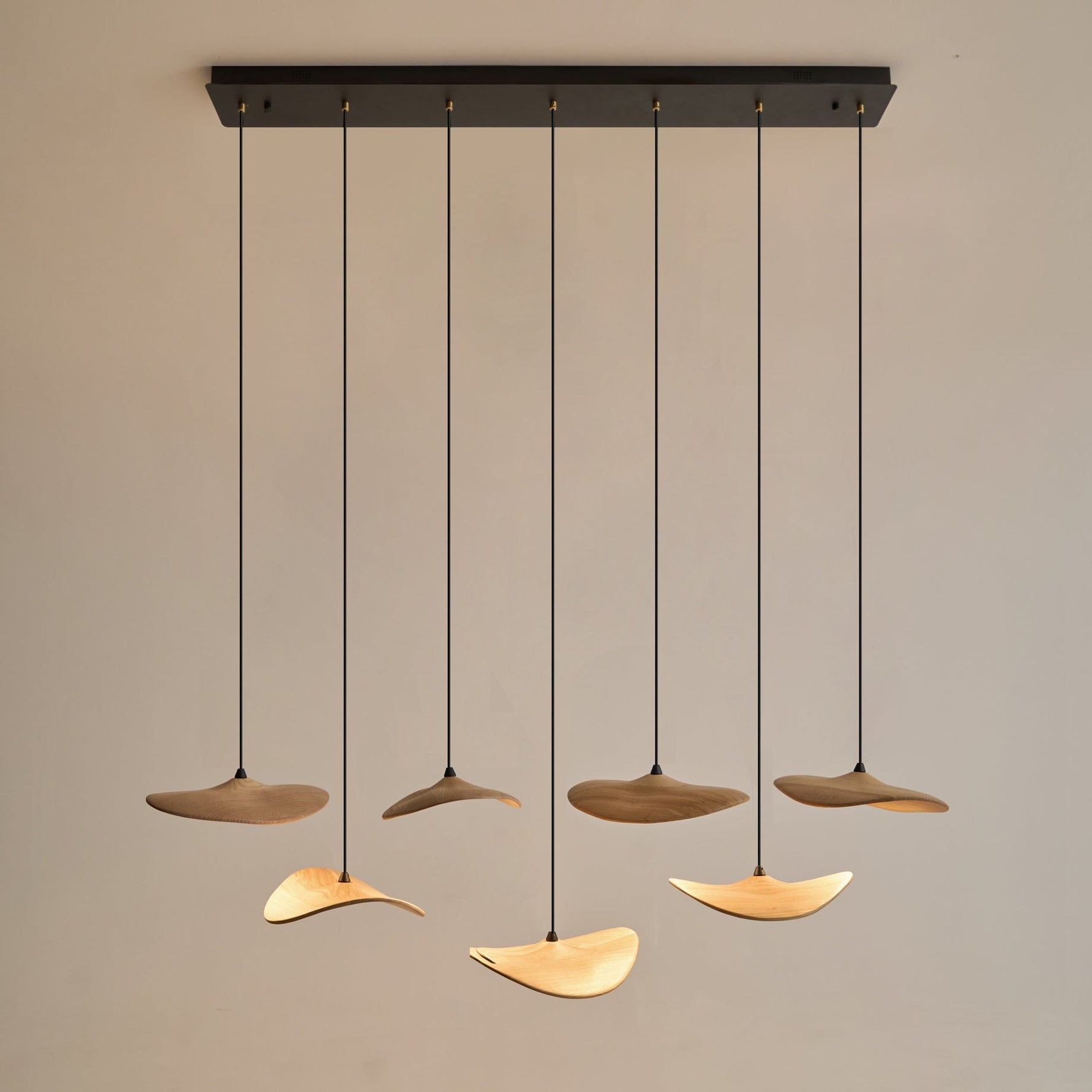 Abbott Modern Minimalist Empty Leaf Metal Wood Chandelier - Lamp Outdoor