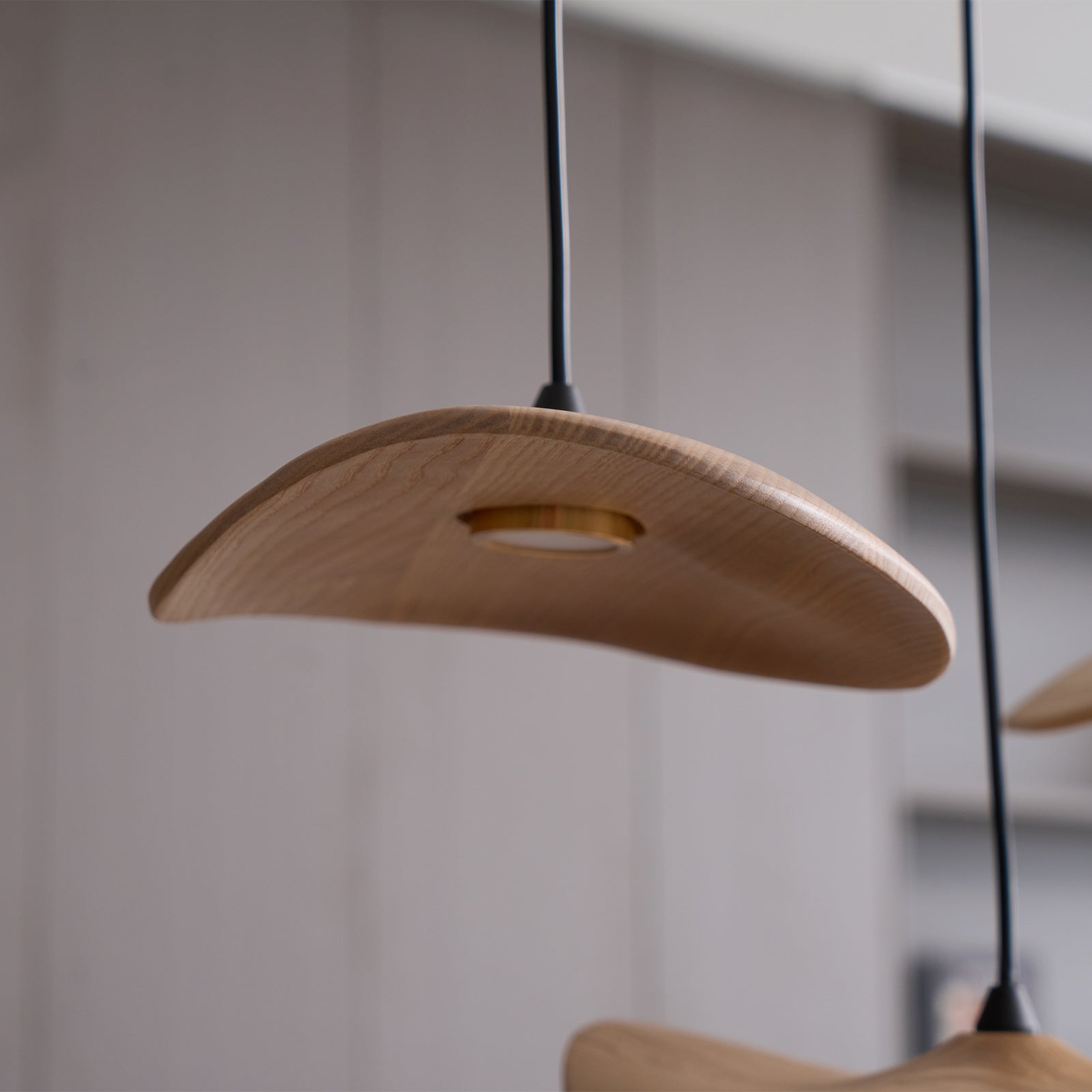 Abbott Modern Minimalist Empty Leaf Metal Wood Chandelier - Lamp Outdoor