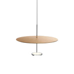 Eryndor Disc Pendant Lamp - Lamp Outdoor