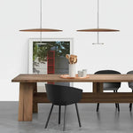 Eryndor Disc Pendant Lamp - Lamp Outdoor